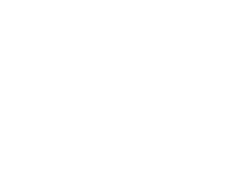 w2c-logo-white
